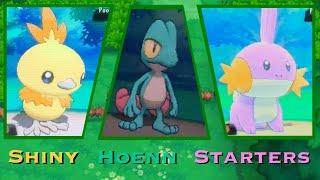 [LIVE] Finding All 3 Shiny Hoenn Starters in ORAS (Compilation)