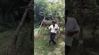 MAYAVAN dance