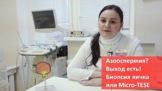 Азооспермия и мужское бесплодие. Диагноз, лечение, операция MICRO-TESE