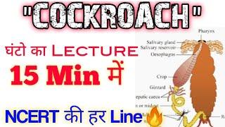 "COCKROACH" का अंत सिर्फ 15 Min में| Ncert की हर Line होगी Cover | Neet 2021 & Neet 2022