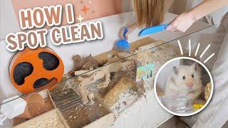 How I spot clean my cages!