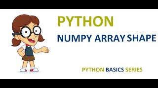 Numpy array shape