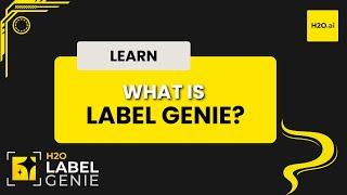 What is H2O Label Genie | H2O Label Genie Starter Track - Part 1