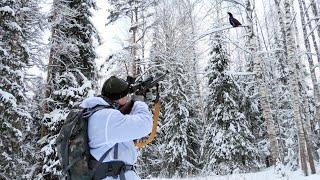 ОХОТА В ТАЙГЕ С МЕЛКАШКОЙ НА БОРОВУЮ ДИЧЬ! ЖАРЮ САЛО НА КОСТРЕ.