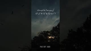 Best Urdu Poetry |Poetry Hub #poetry #shayari #urdupoetry #poetry #heartfeltpoem