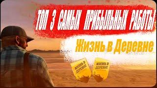 ТОП 3 САМЫХ ПРИБЫЛЬНЫХ РАБОТЫ НА  ЖИЗНЬ В ДЕРЕВНЕ!