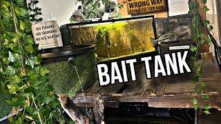 CUSTOM Bait Tank to feed AGGRESSIVE Pond Pets!