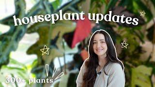Houseplant Update Walkthrough My Collection 