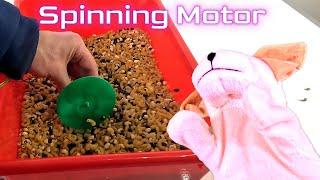 Our Spinning Motor Sprays Beans Everywhere! (Learn Circuits!)