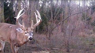 240+/- Acres of Tillable and Hunting Land For Sale in Reno County, Ks.
