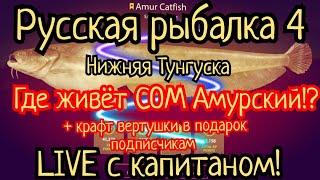 РР4. р. Нижняя Тунгуска. Где клюет СОМ АМУРСКИЙ!? Крафт вертушки в подарок! Прямой эфир с капитаном!