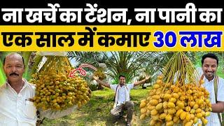 खजूर की खेती से होगी पैसों की बारिशएक बार लगाओ 80 साल तक कमाओIndian Farmer