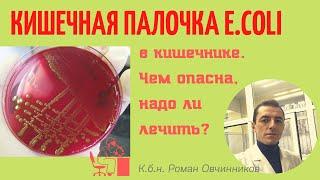 Кишечная палочка (Е. коли) в кишечнике. Чем опасна, надо ли лечить? (вопросы от подписчиков)