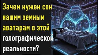 Зачем нужен сон нашим земным аватарам в этой голографической реальности?