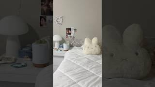 aliexpress haul for my room!! 🫶 #aliexpress #roomdecor #aliexpresshaul #miffy #kawaii #kpoproom