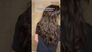 My Lazy Wavy Hair Routine!  #wavyhairroutine #wavyhair #wavyhairtips #wavyhairjourney