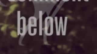 W S Merwin // Side A // Allen De Loach // Counter Culture Chronicles