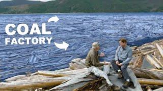 What Do Floating Log Mats Have to Do with Noah's Flood? - Dr. Steve Austin