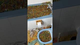 Пранк пошел не по плану 