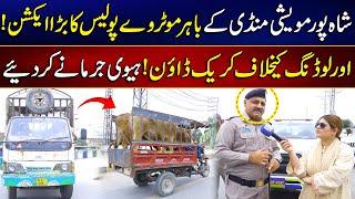 Motorway Police Big Action | Crackdown Against Over Loading | MYK News Tv