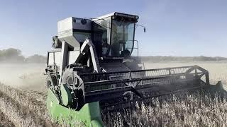 Harvesting double-crop soybeans at Stroda Farms near Hope, Kansas