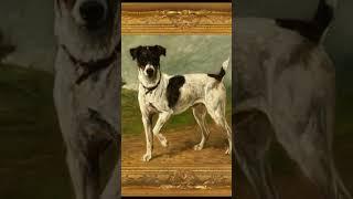 Why Nabi feared Dog
