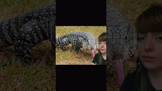 Which Reptiles Make Good Pets (FOR ME!)