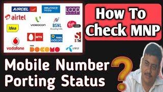 How To Check MNP (Mobile Number Portability) Status Online? Know Your Porting Status