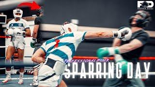 Professional Boxer Sparring Day (INTENSE) | Day in Camp with Frankie Davey