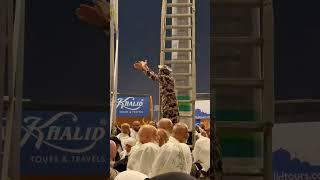 mina live hajj 2025 live #makkah arafah muzdalifah hajj live makkah live #madina live #hajj2025