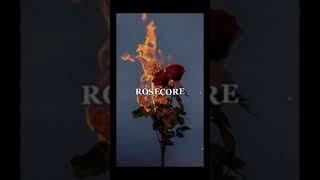 Rosecore