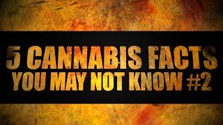 5 Cannabis Facts You May Not Know | Part 2