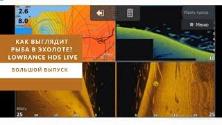 Как выглядит рыба в эхолоте? Lowrance HDS Live. Большой выпуск.