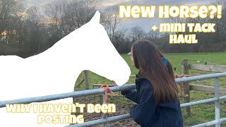 NEW HORSE?! & where i’ve been | Lizzie F Equine