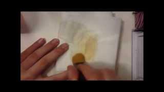 How to Clean Your Brushes With MAC Brush Cleanser!