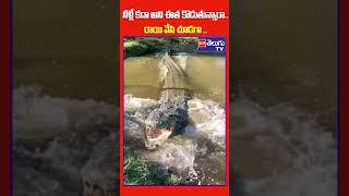 నీళ్లే కదా అని ఈత కొడుతున్నారా..