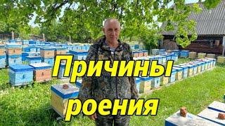 ПРИЧИНЫ РОЕНИЯ!!! Возрастной состав роя!!!
