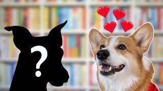 Hammy Visits His Girlfriend!