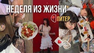 неделя из жизни в Питере / работа, отдых, новые места  #влог #livingalonediary