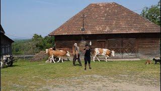 Hard working people of the Carpathian Mountains in Romania