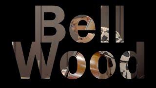 Hallo,We are Bell Wood./マリンバとベースのユニットBell Wood