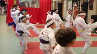 Azad's Martial Arts Brand Video - Blue Fox Media