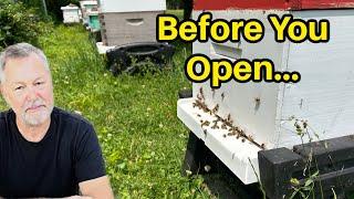 Beekeeping: What Your Hive Tells You Before You Open The Top
