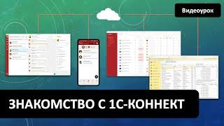 Знакомство с 1С-Коннект