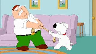 (NoZoom) Family Guy Season 23 Episode 39 Full Episode - Family Guy 2024 Full Episode NoCuts #1080p