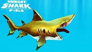 ГОЛОДНАЯ АКУЛА #1 Hungry Shark Прохождение игры VIDEO passing games