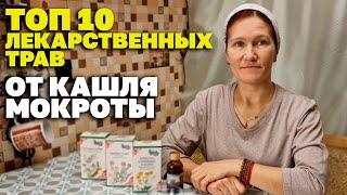 10 ТРАВ ОТ СУХОГО И ВЛАЖНОГО КАШЛЯ @natureMarusya