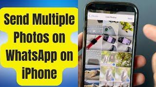 How to Send Multiple Photos on WhatsApp for iPhone (2024)