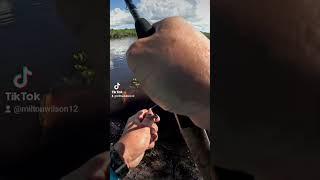 Red fish on the hook!! #fishing #fishingvideo #bassfishing #saltwater #florida #fish #staysaltyflori