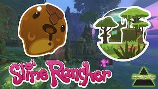 МШИСТЫЙ ПОКРОВ И МЕДОВЫЙ СЛАЙМ | Slime Rancher | Прохождение | 6 серия